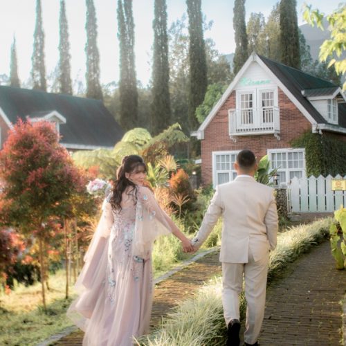 p3210586-galery-2-XItGfi