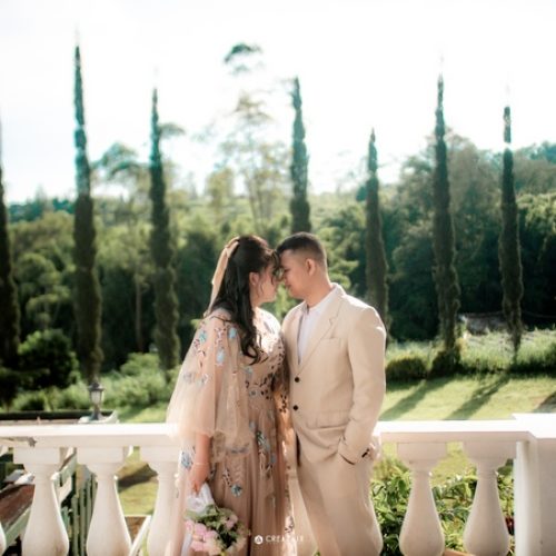 p3210795-galery-4-ZmpUzd