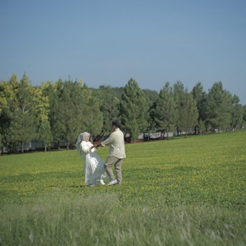 paji4516-seyU7n